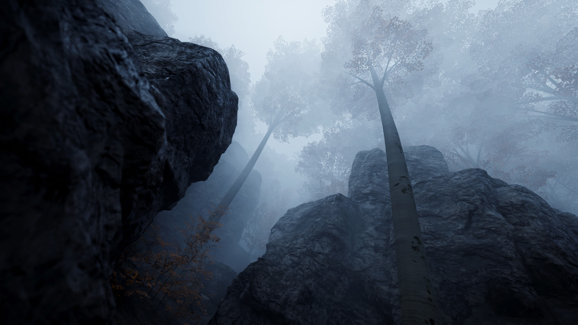 098f6bcd4621d373cade4e832627b4f6