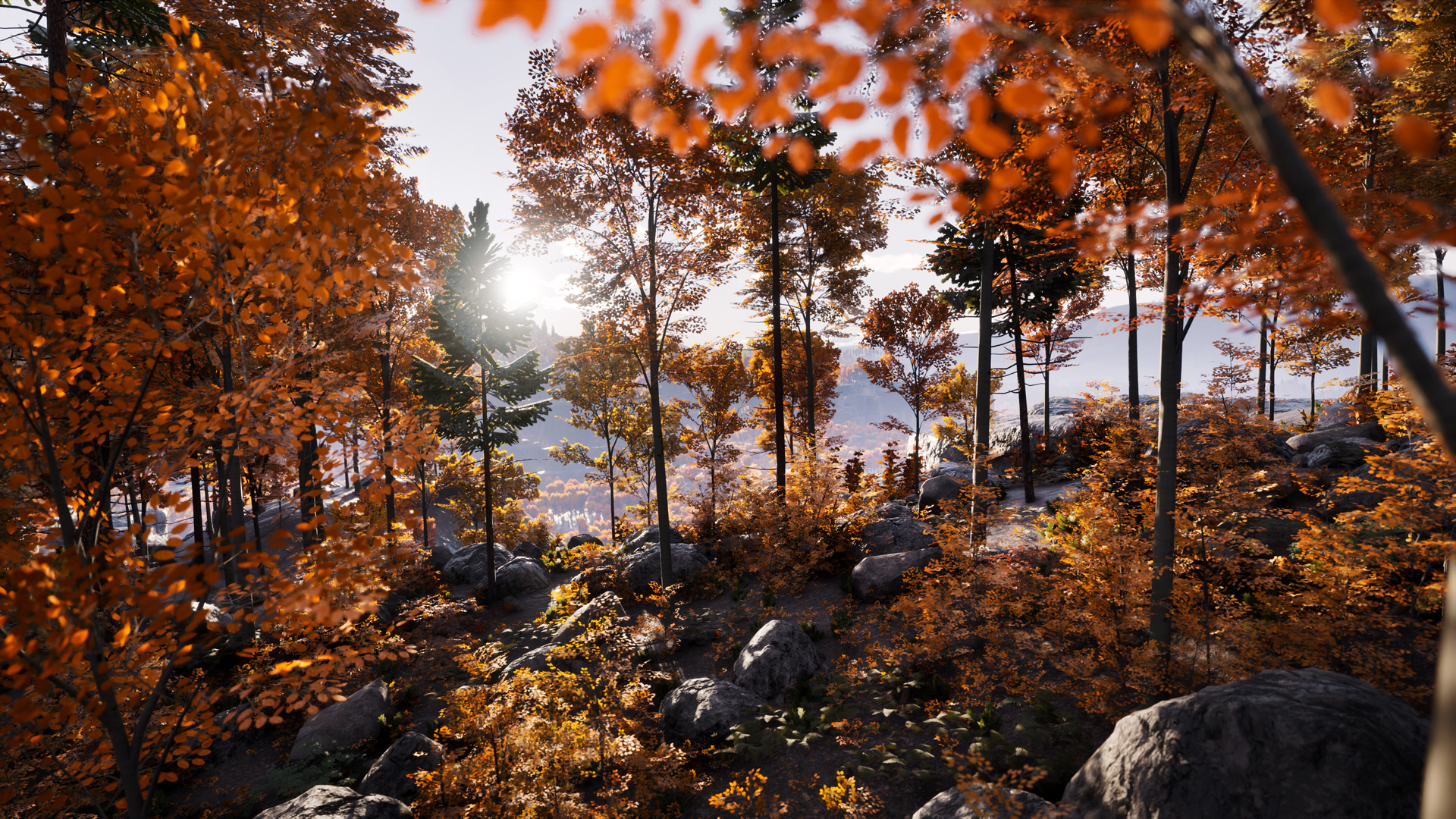 098f6bcd4621d373cade4e832627b4f6