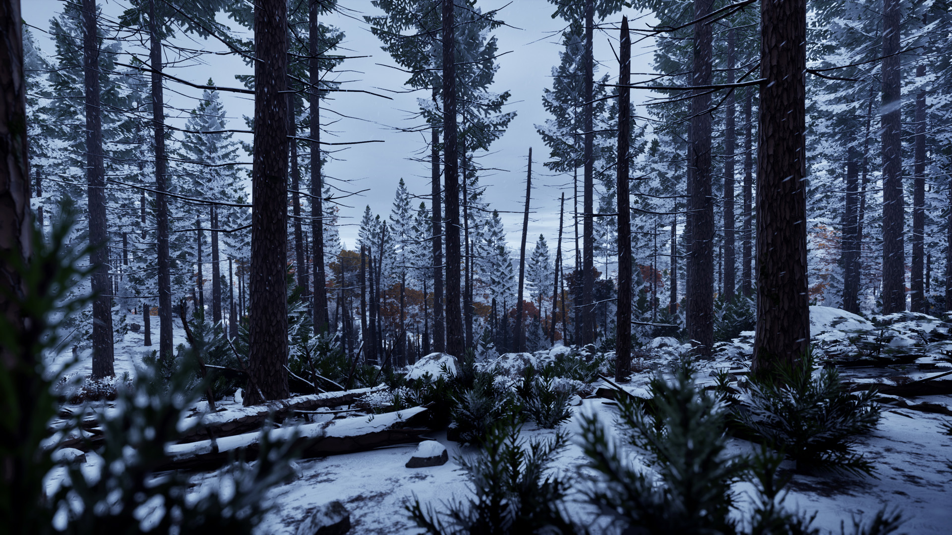 098f6bcd4621d373cade4e832627b4f6