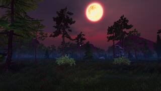 100 Nights In The Forest screenshot 2
