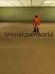 LiminalOpenWorld