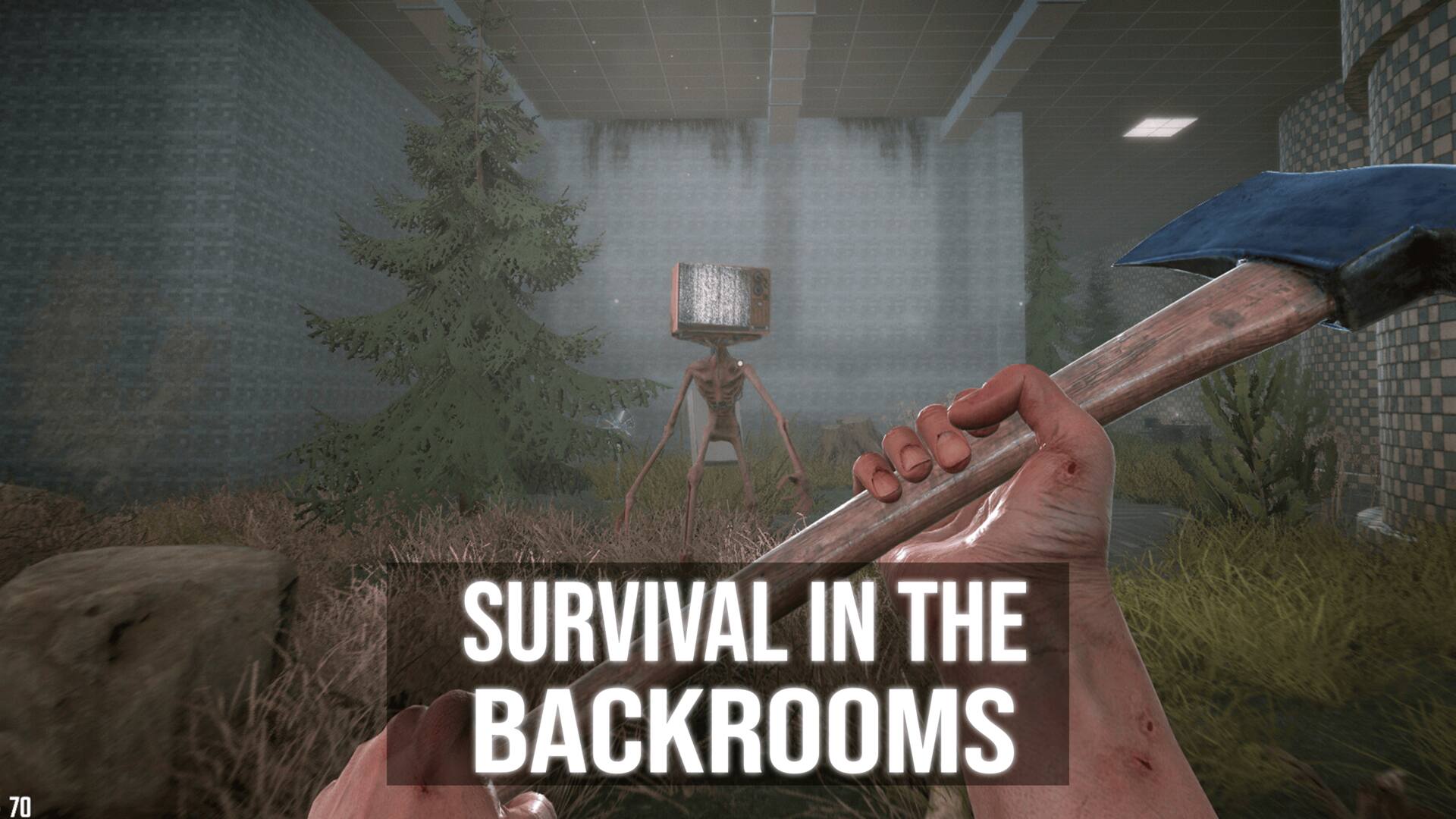Survival In The Backrooms