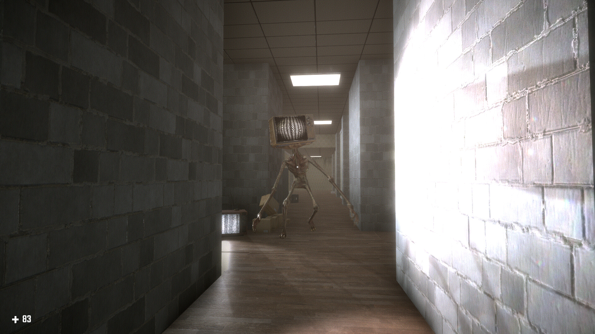 Survival In The Backrooms-1nrv3