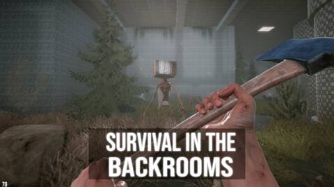 Survival In The Backrooms