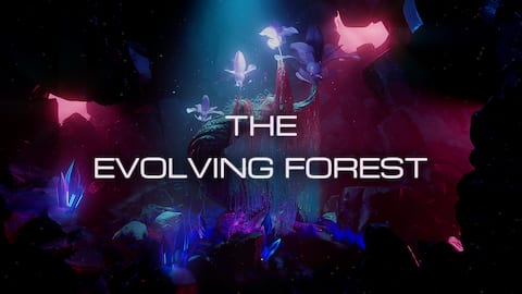 The Evolving Forest