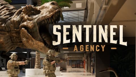 Sentinel Agency