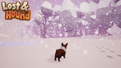 Lost and Hound