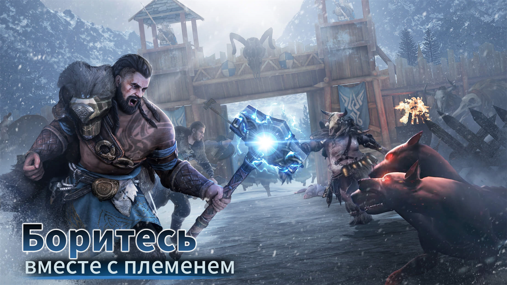 Viking Rise-14p5m