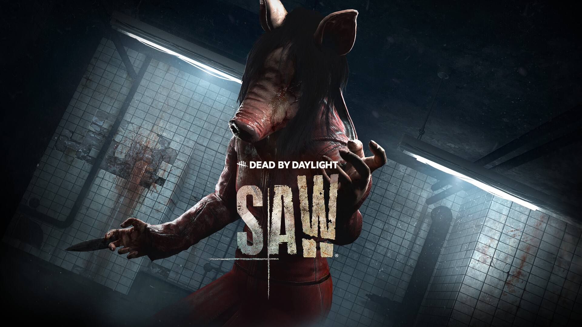 Brill SawChapter