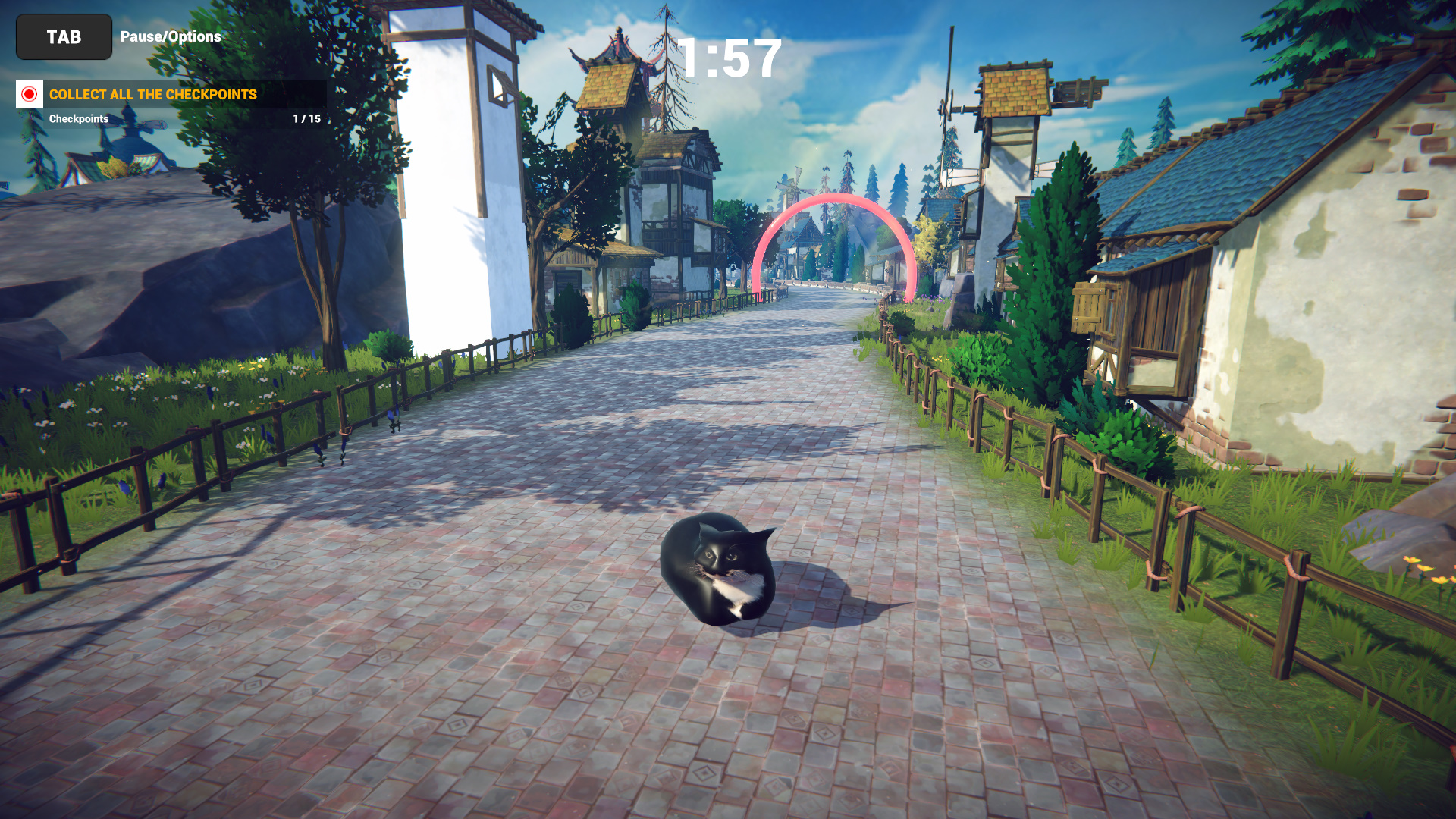 Cat Karting-197uz