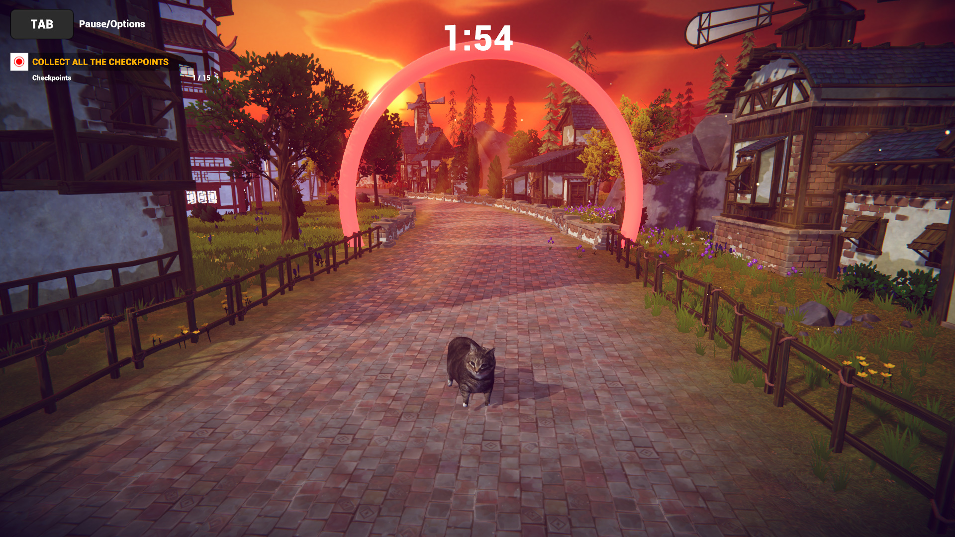 Cat Karting-1i3ph