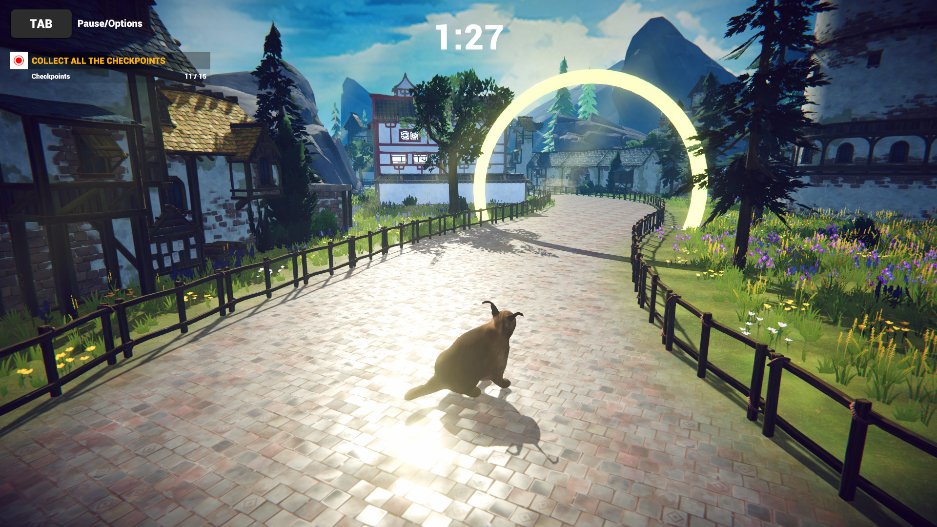 Cat Karting-1iid6
