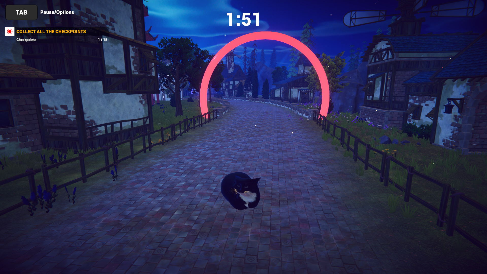 Cat Karting-1jq0f