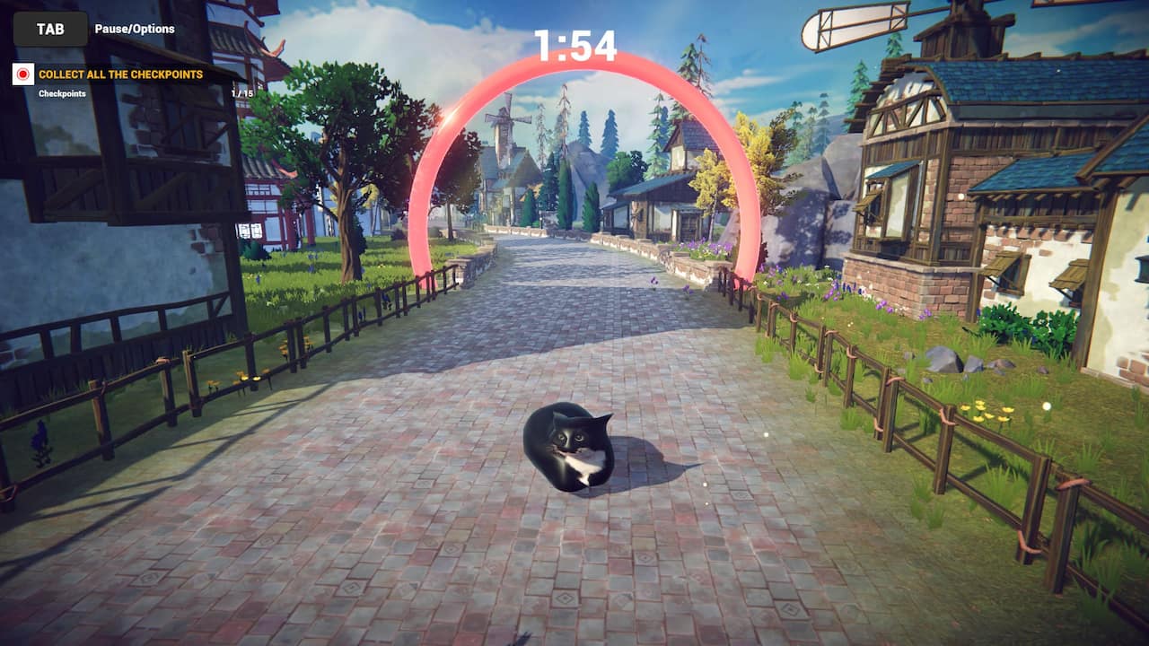 Cat Karting-1kwhz