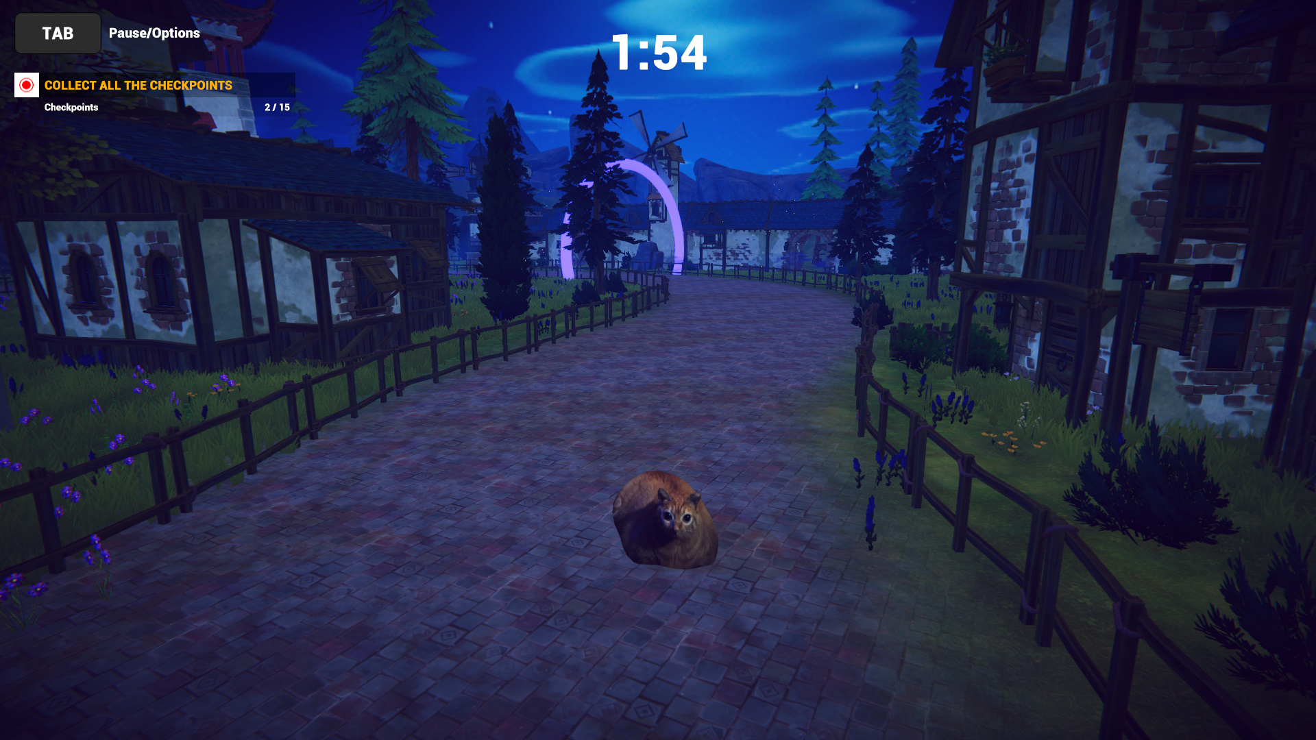 Cat Karting-478jx