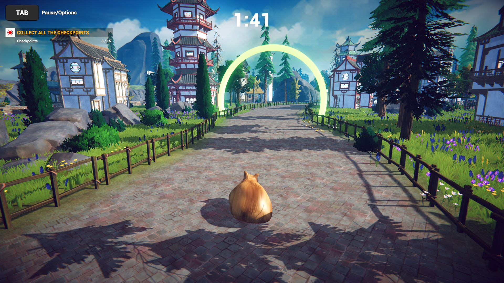 Cat Karting-cohyu