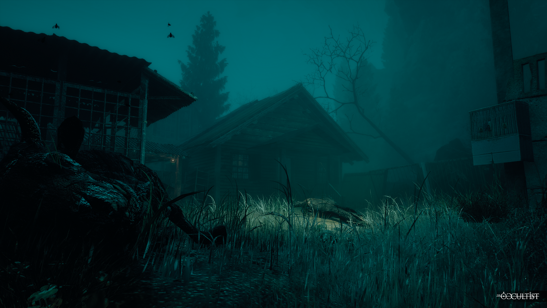 The Occultist-1wmqn