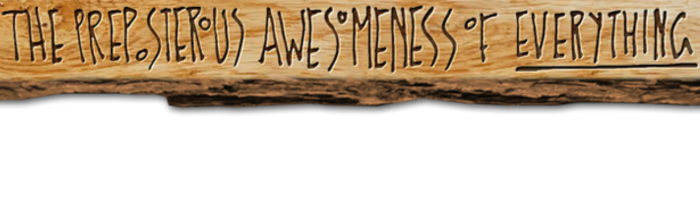The Preposterous Awesomeness of Everything-61231