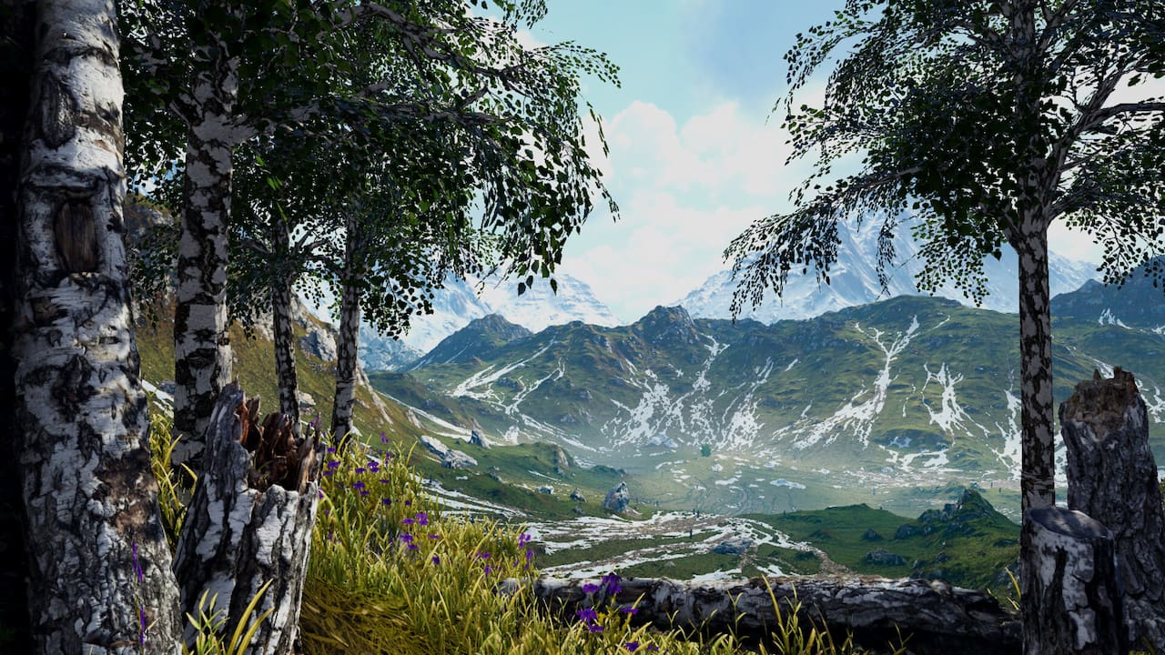 Birch Simulator-1w1f6