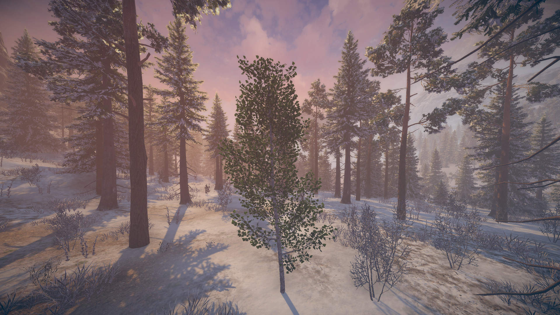 Birch Simulator-pkkb3
