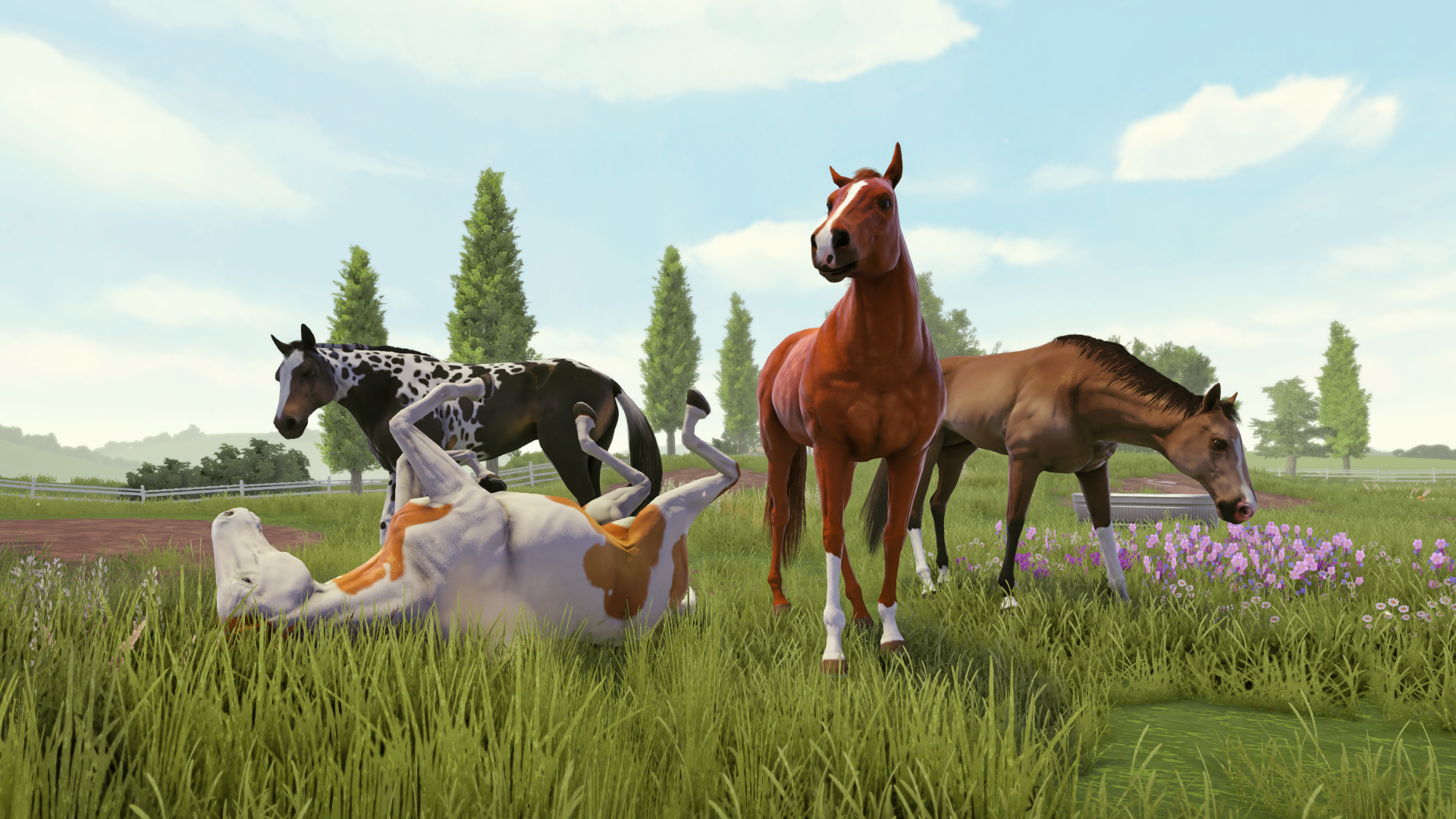 Rival Stars Horse Racing-aikqa