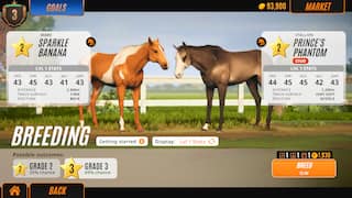 Rival Stars Horse Racing : Desktop Edition screenshot 4