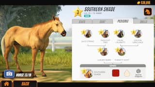 Rival Stars Horse Racing : Desktop Edition screenshot 6