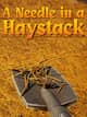 Needle In A Haystack