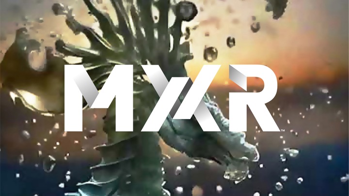 MX Fusion