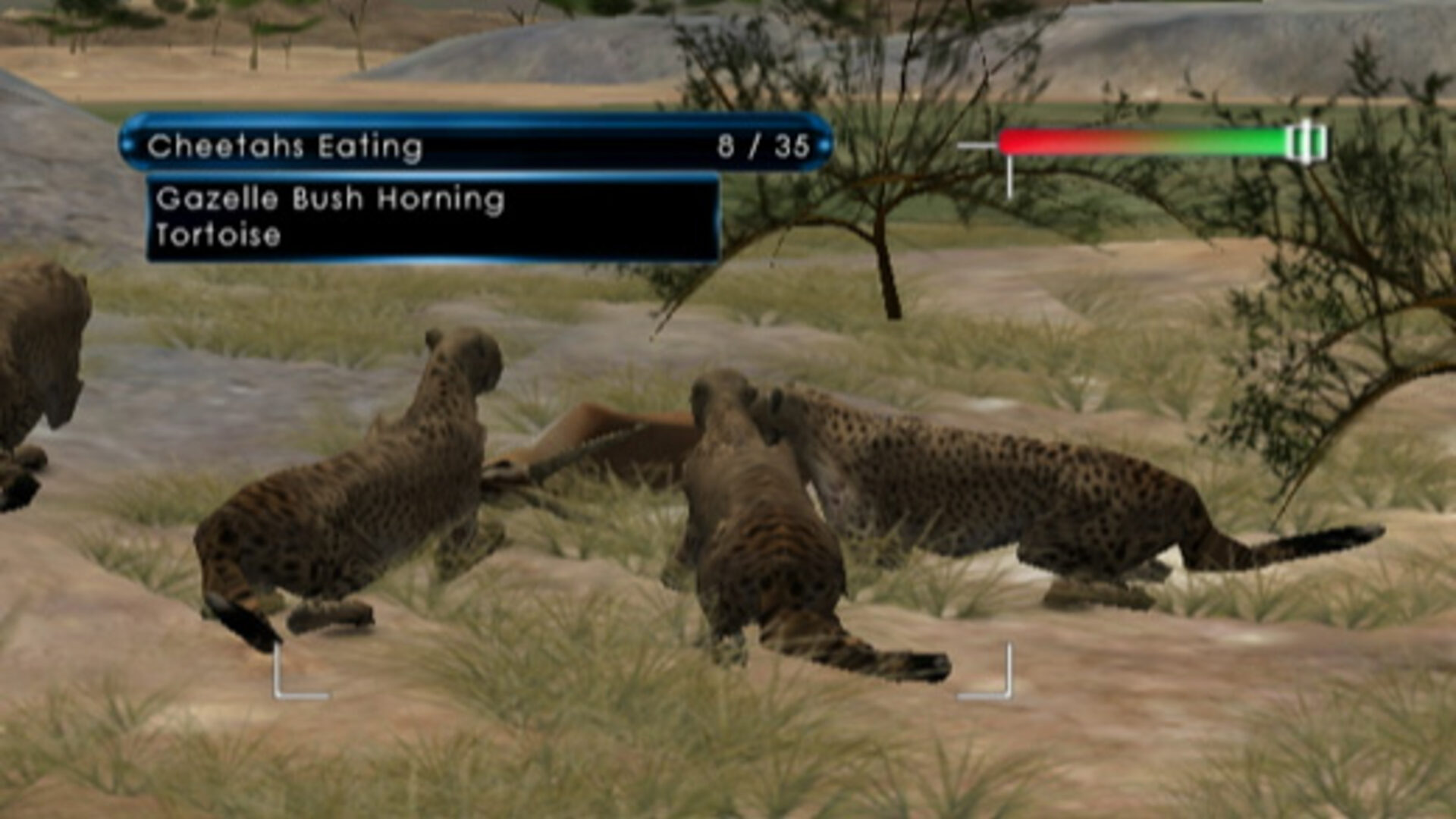 Wild Earth - Africa-13r00