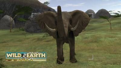 Wild Earth - Africa