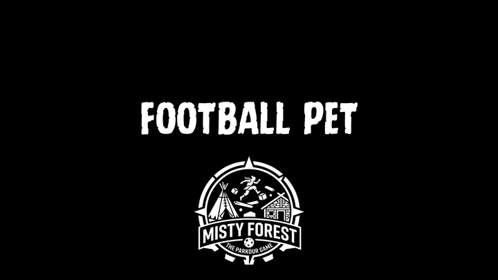 Football Pet