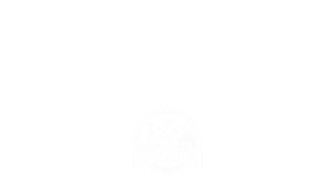 Mouse Pet
