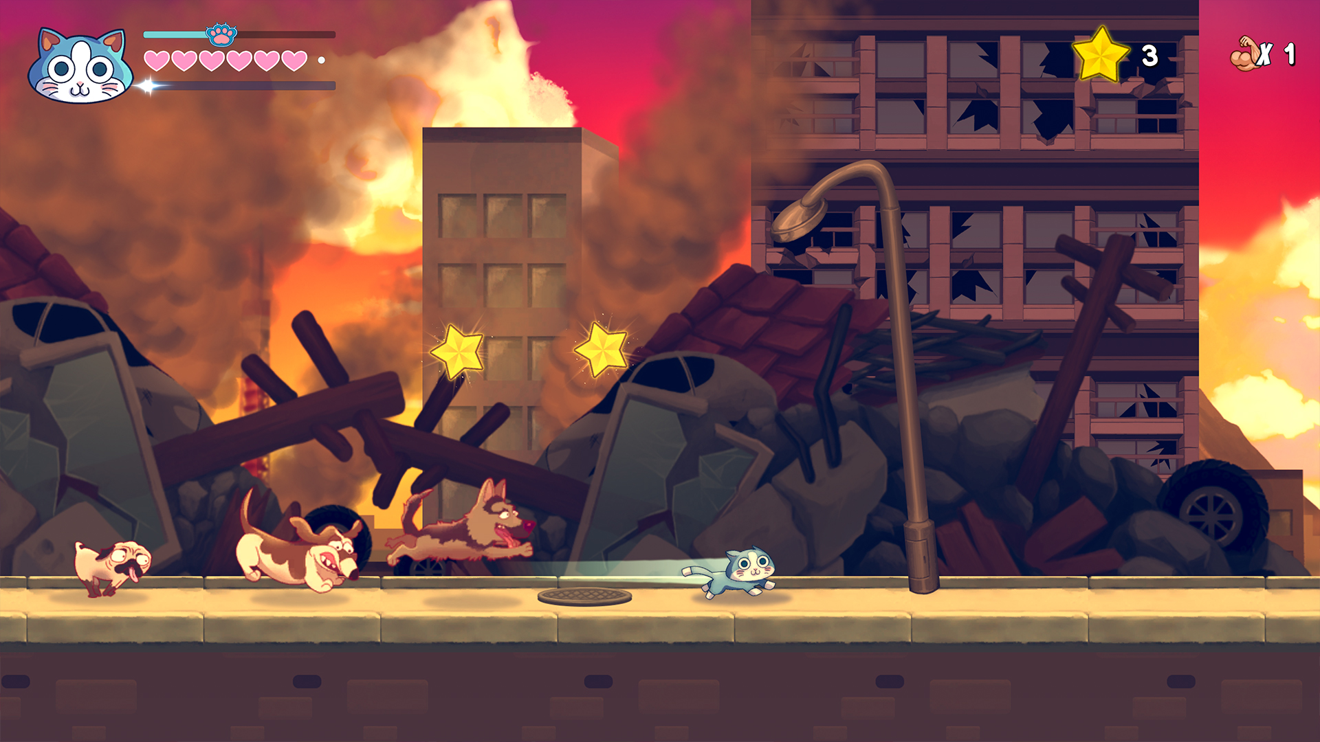 KinnikuNeko: SUPER MUSCLE CAT-fv6p7