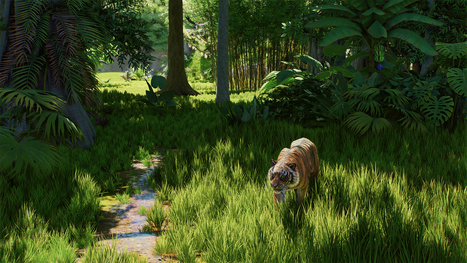 Planet Zoo 2-1eb2k