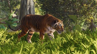 Planet Zoo 2 screenshot 6