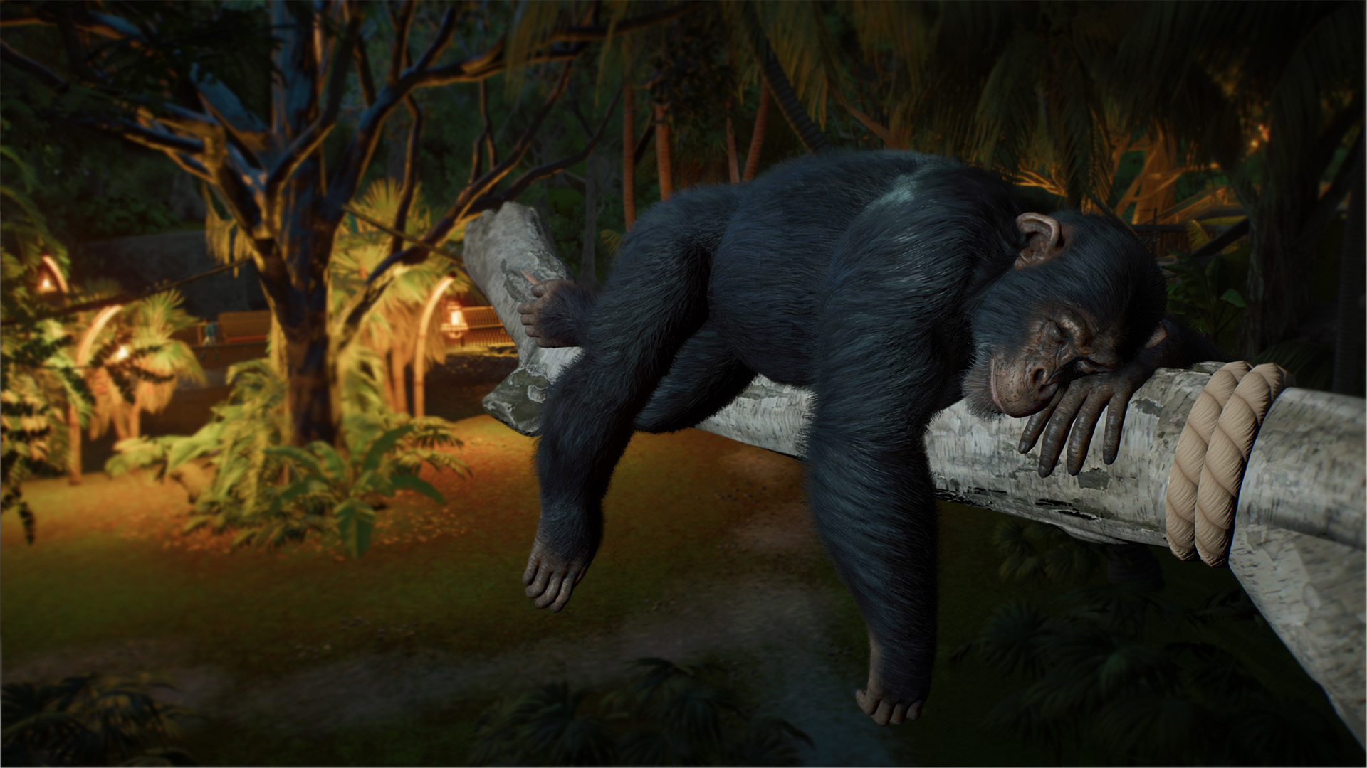 Planet Zoo 2-mva5p