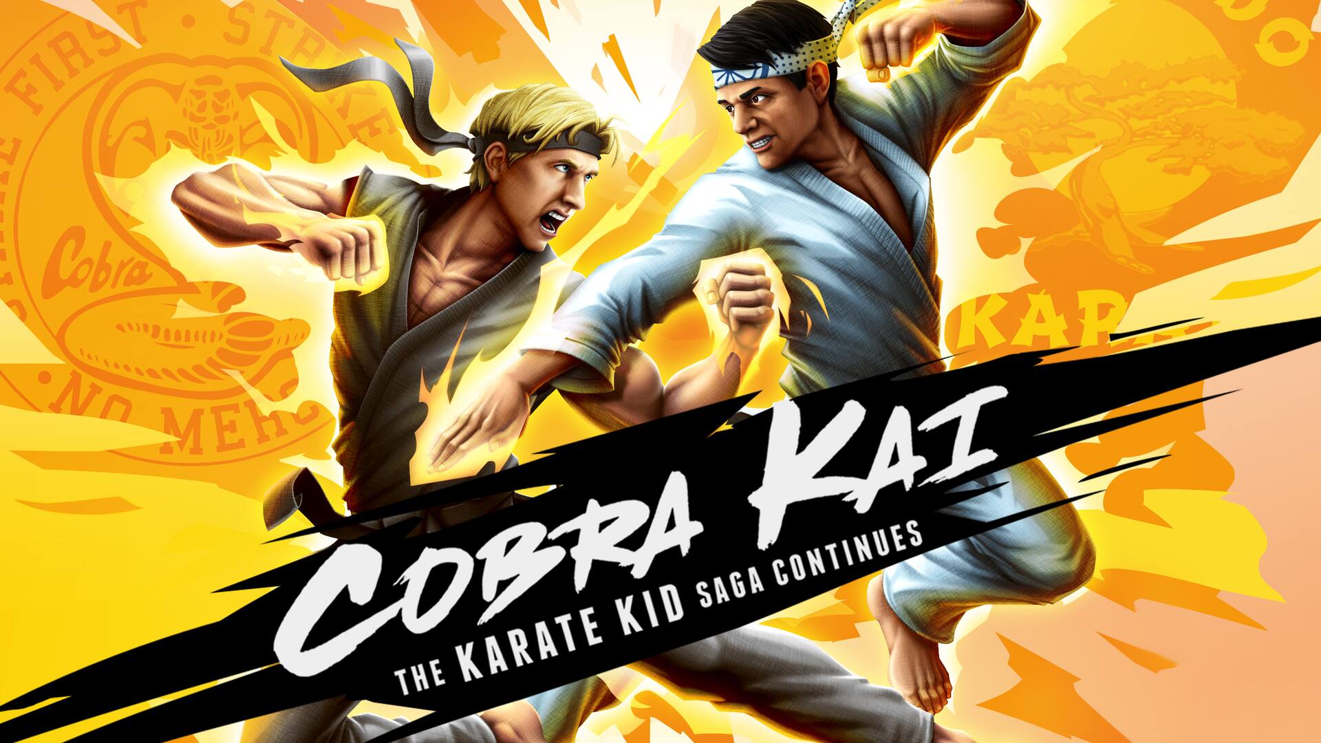 Cobra Kai - The Karate Kid Saga Continues