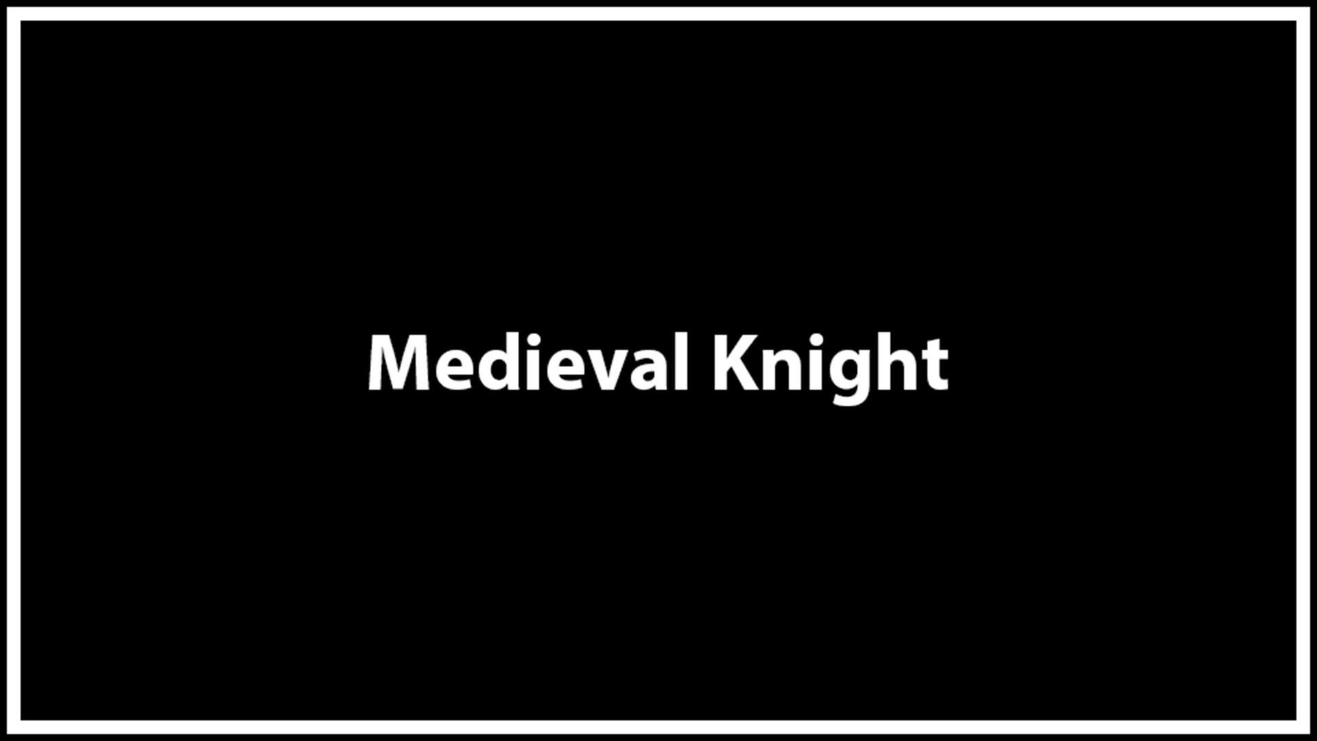 Medieval Knight
