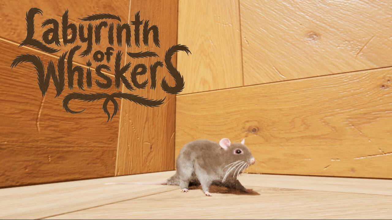 Labyrinth of Whiskers PC gameplay screenshot 1 of 1