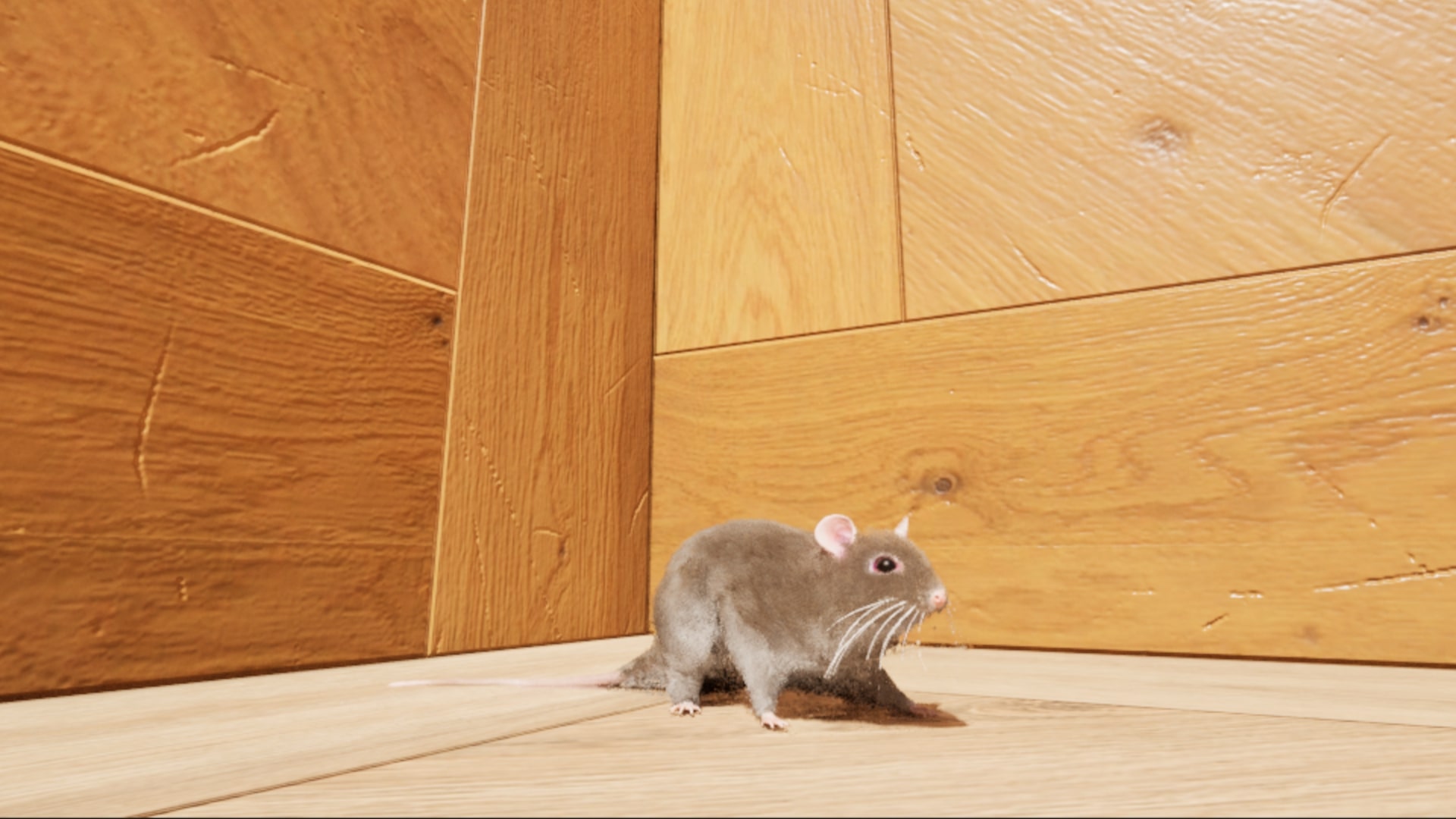 Labyrinth of Whiskers screenshot 1