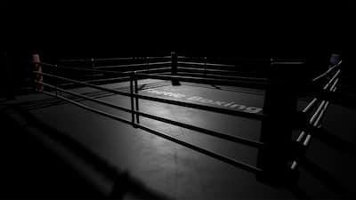 Tactic Boxing