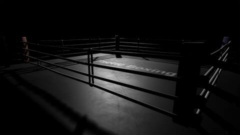 Tactic Boxing