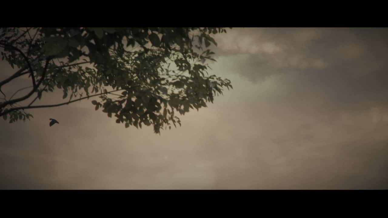 Carousel slide 2