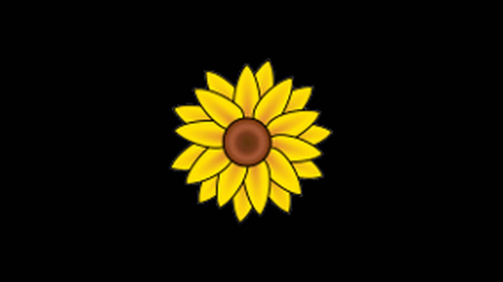 Fun Flowers