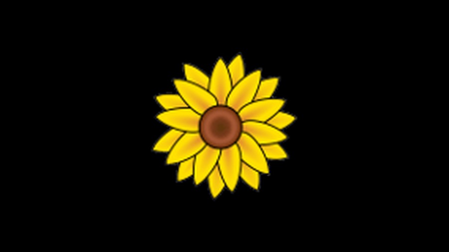 Fun Flowers