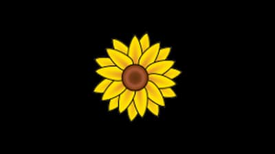 Fun Flowers