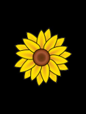 Fun Flowers