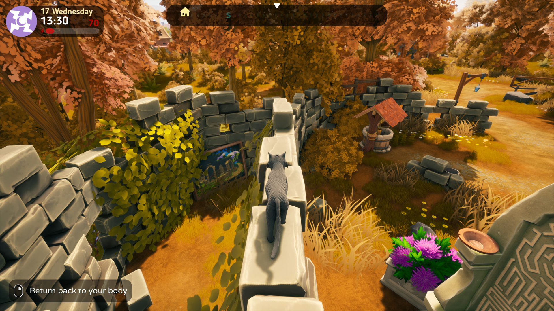 The Witch of Fern Island Heute herunterladen und kaufen Epic Games