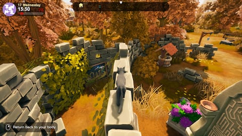 The Witch of Fern Island Heute herunterladen und kaufen Epic Games